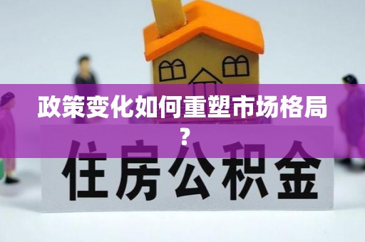 淄川政策变化如何重塑市场格局？