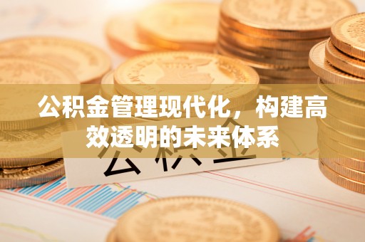 淄川公积金管理现代化，构建高效透明的未来体系