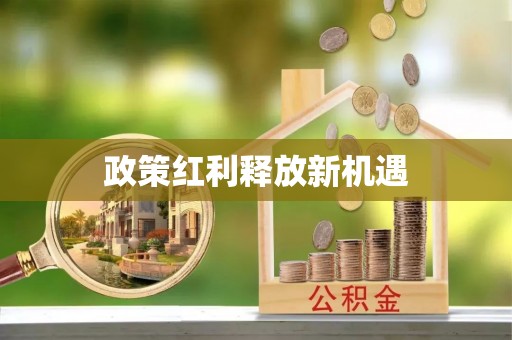 淄川政策红利释放新机遇