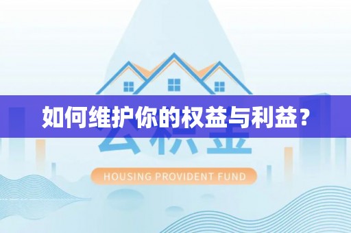淄川如何维护你的权益与利益？