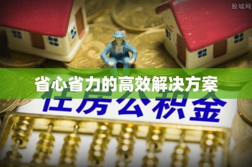 淄川省心省力的高效解决方案