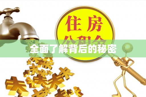 淄川全面了解背后的秘密