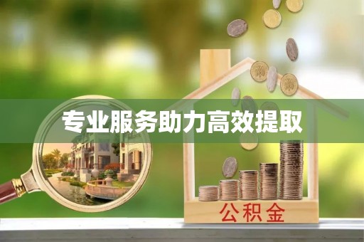 淄川专业服务助力高效提取